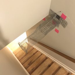 Aerial view of the Squirrel trap