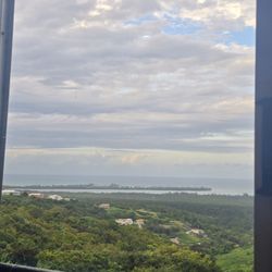 The view