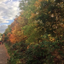 Shipley Country Park