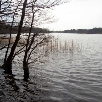 Großensee - Amateur Sports Teams Near Me