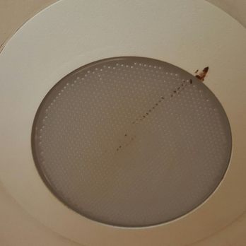 Rent Athens - Blood stains on the hallway light at stadium village - Property Management Near Me - Athens, Georgia Rent Athens - Blood stains on the hallway light at stadium village - Property Management Near Me - Athens, Georgia