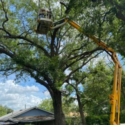 Stephenville Tree Service