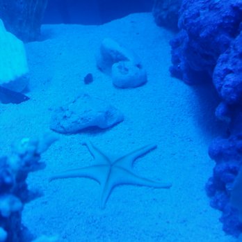 Aquatropics - Local Fish Stores Near Me - Gainesville, Florida