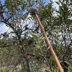 Blue Jay Orchard - Pick ur own!!  Wow. The varietals