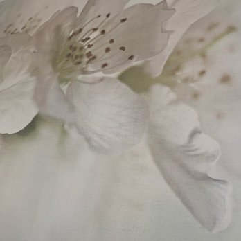 Healing Therapy Spa - Relaxing - Massage Therapy Near Me - Whittier, California Healing Therapy Spa - Relaxing - Massage Therapy Near Me - Whittier, California
