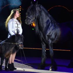 Cirque Bormann - Création 2018 - Chevaux