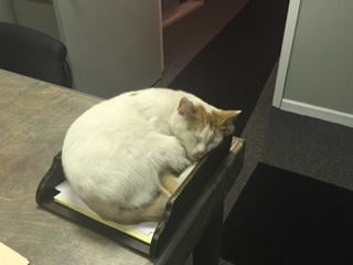 Slide of Drainfield Solutions