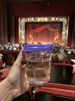 Wortham Theater Center by null