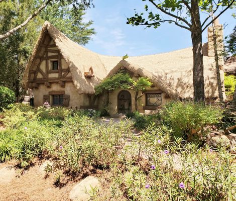 Seven Dwarfs Mine Train by null