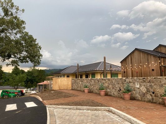 Marigold by Jean-Georges by null