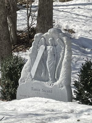 Hope Cemetery by null