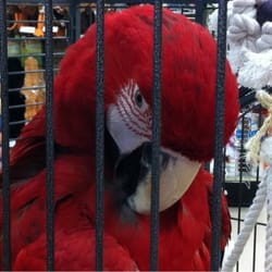 Petland