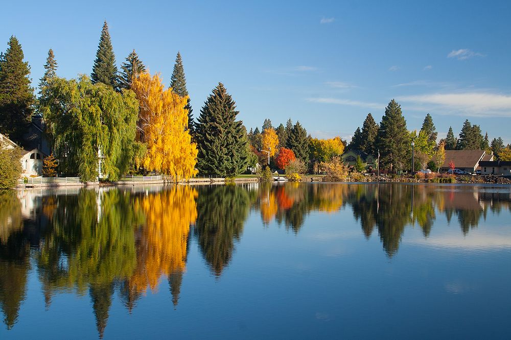 Mirror Pond Counseling - grief counselor in Bend, OR