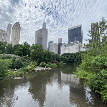 Central Park Conservancy - On the Gapstow Bridge with the view of the Plaza Hotel and its surrounding area - Parks Near Me - New York, New York
