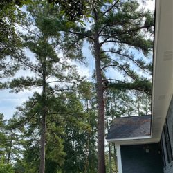 Nate Foster Tree Care