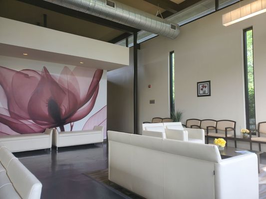 Elevate Dermatology & Plastic Surgery