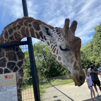 Nova Wild - Petting Zoos Near Me - Vienna, Virginia