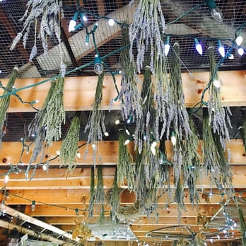 Cape Cod Lavender Farm - The ceiling of the cottage - Cosmetics & Beauty Supply Near Me - Harwich, Massachusetts