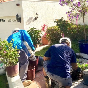 Moon Valley Nurseries - Tree Services Near Me - Irvine, California