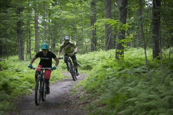 Kingdom Trails by null