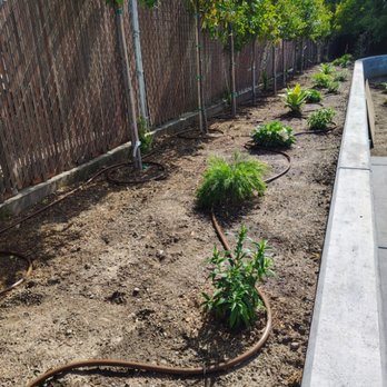 Hernandez Landscaping - Irrigation systems - Landscaping Near Me - Pittsburg, California Hernandez Landscaping - Irrigation systems - Landscaping Near Me - Pittsburg, California