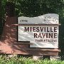 Photo of Miesville Ravine Park