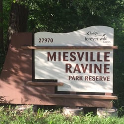 Miesville Ravine Park