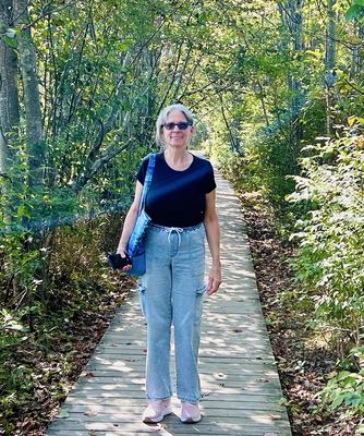 Inn by the Sea by null