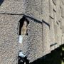 Photo of MI6 Home Inspections