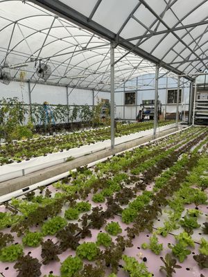 Fat Beet Farm Kitchen and Bakery by null