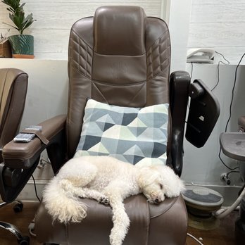 Plush Nails Spa - Sleeping on the job Ben?!? - Nail Salons Near Me - San Francisco, California