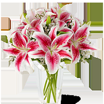 Surf Florist - Pink lilies, frangrant and pretty as can be. - Florists Near Me - Miami Beach, Florida