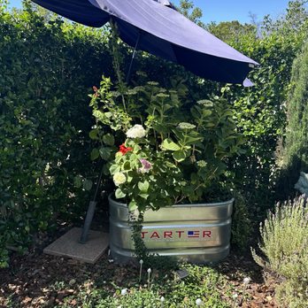 In Bloom - Out front of the salon - Hair Salons Near Me - Folsom, California