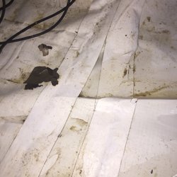 1 800 Busydog 29 Photos 110 Reviews Waterproofing 1600 Providence Hwy Walpole Ma United States Phone Number Waterproofing 1600 Providence Hwy