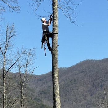 ADEX Land Solutions - Tree Services Near Me - Topton, North Carolina ADEX Land Solutions - Tree Services Near Me - Topton, North Carolina