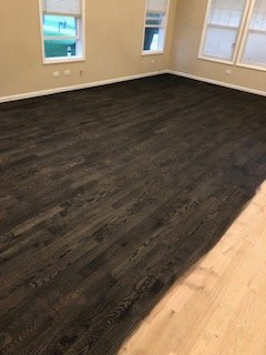 Slide of MT Renovations