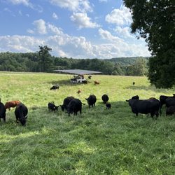 Smith Family Pastures