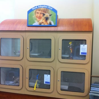 Petco - Pet Stores Near Me - Collierville, Tennessee Petco - Pet Stores Near Me - Collierville, Tennessee