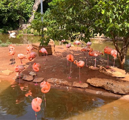 Abilene Zoo by null