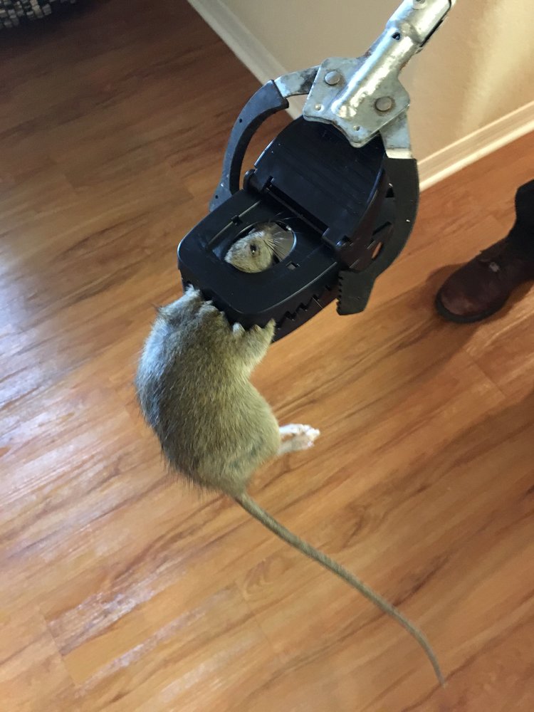 LAKEVIEW AT CALUSA TRACE CONDOMINIUMS ASSOCIATION Updated August 2024