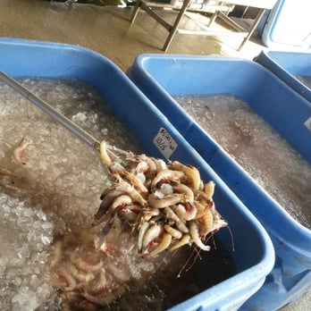 Seafood Shed Inc - When I went it was 10/15 Count for $5.20 +Tax - Seafood Near Me - Golden Meadow, Louisiana Seafood Shed Inc - When I went it was 10/15 Count for $5.20 +Tax - Seafood Near Me - Golden Meadow, Louisiana