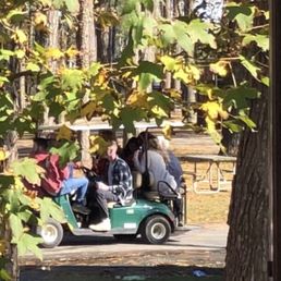 University of Delaware students drinking while driving a golf cart. There with about 8 people on the cart.