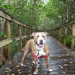 Kiplinger Nature Preserve Park