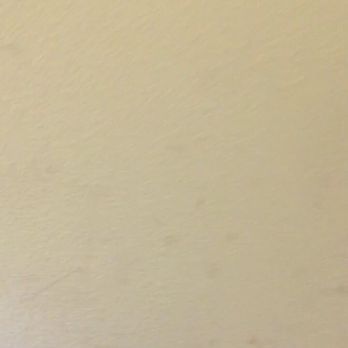 Quality Inn & Suites - More filthy walls in our room - Hotels Near Me - Pittsburgh, Pennsylvania