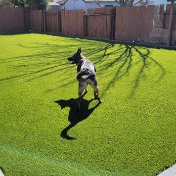 FG Pavers and Turf - Happy human and canine customers - Landscaping Near Me