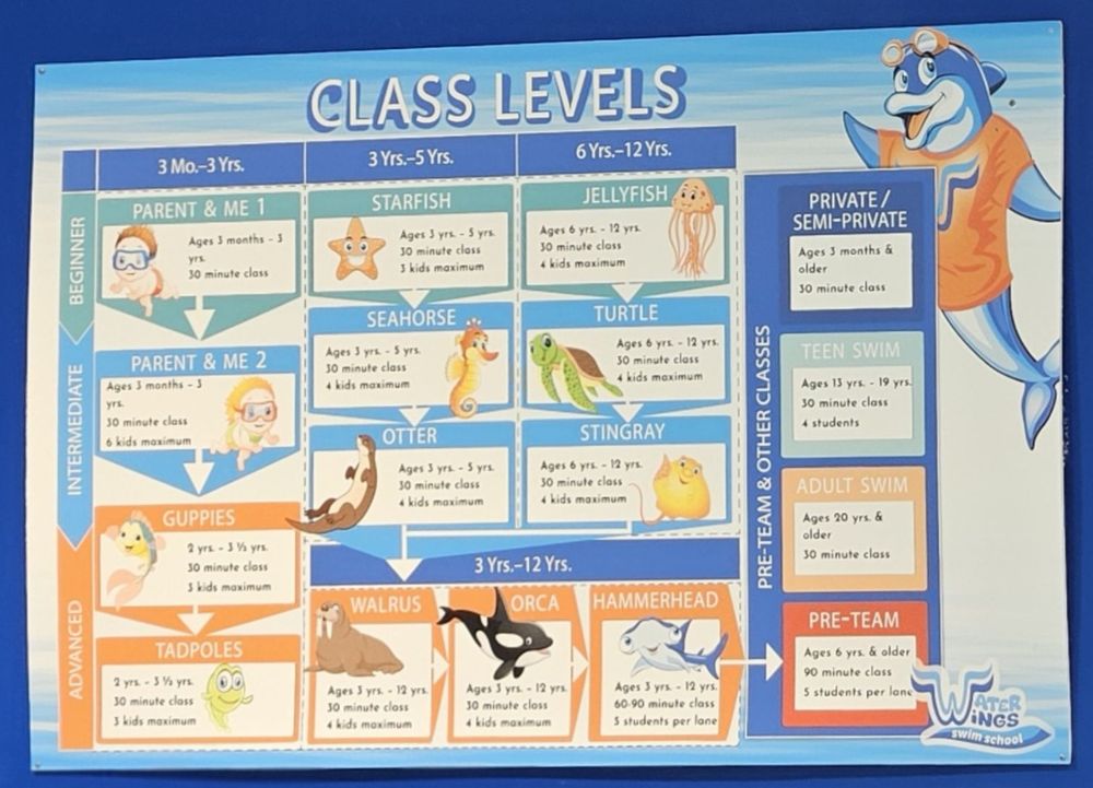 Water Wings Swim School