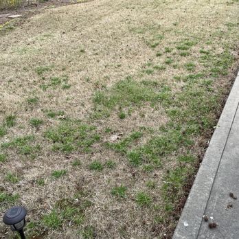 Fairway Lawn Service - This is what you can expect from Fairway Lawn Service - Pest Control Near Me - Marietta, Georgia Fairway Lawn Service - This is what you can expect from Fairway Lawn Service - Pest Control Near Me - Marietta, Georgia
