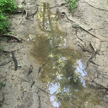 Southeastway Regional Park - When it's rained, there can be standing water on the trails through the woods. Be careful of slippery mud and wear appropriate shoes! - Parks Near Me - Indianapolis, Indiana Southeastway Regional Park - When it's rained, there can be standing water on the trails through the woods. Be careful of slippery mud and wear appropriate shoes! - Parks Near Me - Indianapolis, Indiana