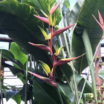 Lincoln Park Conservatory - Parks Near Me - Chicago, Illinois