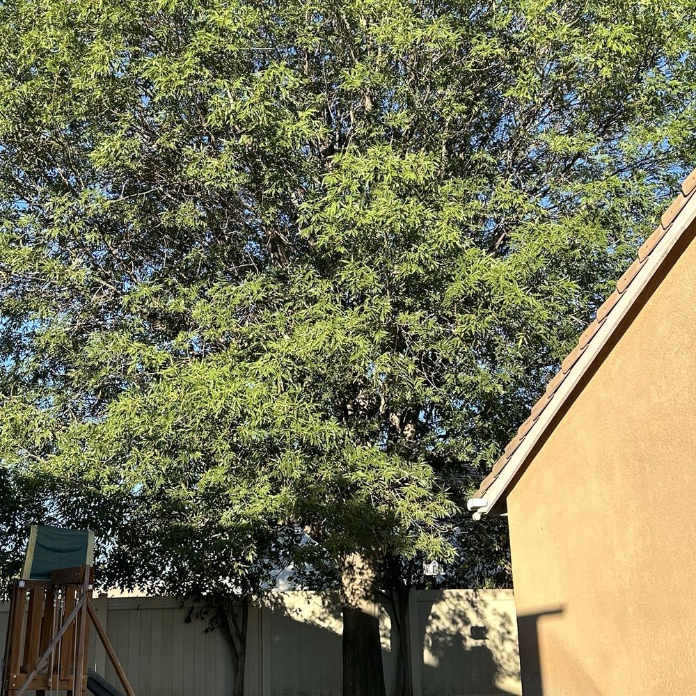 Eco Pro Arbor Care - Tree Services Near Me
